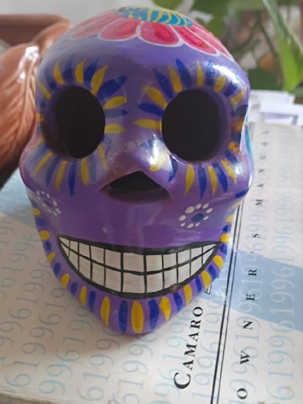 Scull Colorful - Picture 3 of 7